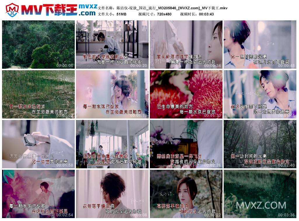 陈洁仪-绽放_国语_流行_MD205846